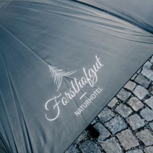 FHG Umbrella 1